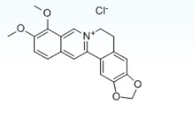 维多利亚老品牌vic(集团)官方网站
